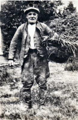 William Henry Gould