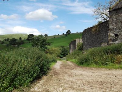 Narrowdale 1