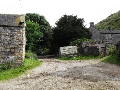 Narrowdale 2
