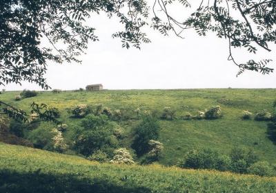 Herbage 2