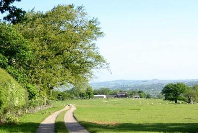 Champion Farm 2