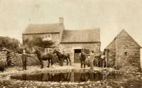 Dunge Bottom Farm 1905