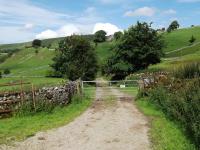 Narrowdale