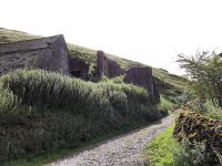 Narrowdale