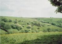 View towards Herbage Barn
